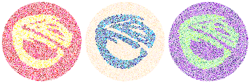 rock suit icon as presented by colorblindness test dots